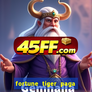 fortune tiger paga de madrugada